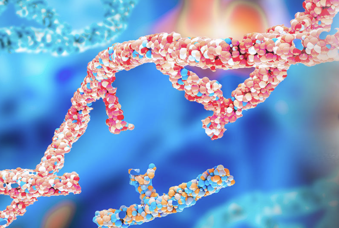 Graphic shows gene therapy